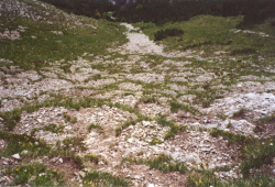 Girlandenboden, Lienzer Dolomiten - © Gerlinde Ortner / Joanneum Research