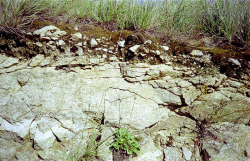 Grobmaterialrohboden, Wachau - © Herbert Bauer / Bodenschätzung