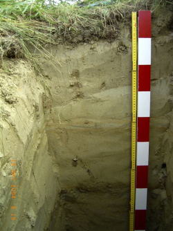 Kultur-Rohboden, Weinviertel - © Herbert Bauer / Bodenschätzung
