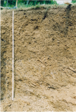 Rigolboden, Südweststeirisches Hügelland - © Gerlinde Ortner / Joanneum Research