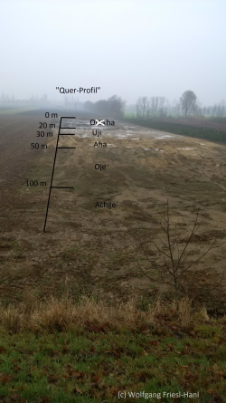 Tschernosem - Beobachtet bei meinen, fast täglichen - Fahrrad-zur-Arbeit Fahrten, wo auf einen schönen Tschernosem im Tullner Feld dieser im Querprofil dargestellte Boden aufgetragen bzw. abgelagert wurde.- © Wolfgang Friesl-Hanl