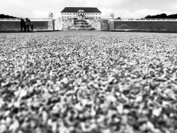 Historischer Boden von Schlosshof - Dies ist der historische Boden von Schlosshof angelegt von dem Garteningenieur Anton Zenner- © Natalie Kaufmann