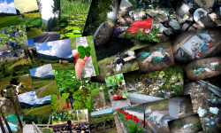 Boden ist Heimat. Boden ist Schutz. Boden ist Zukunft, eine Quelle für uns. - Das Erdreich ist die Grundlage des irdischen Lebens. Dieses versorgt uns Menschen und Tiere, das Leben im Allgemeinen, mit Pflanzen, Nährstoffen und Wasser.  Einige der natürlichen Funktionen des Bodens ist die Bildung neuer gesunder Ökösysteme, Zerstörung von Abfallprodukten und Umwandlung bestimmter Substanzen. Jedoch kann die Erde nicht allen Abfall durch Menschenhand verursacht, ausgleichen.  Der Mensch nimmt jeden Tag Einfluss auf unsere Erde und die damit geschende Oberflächenveränderung.  Der Mensch wirft Abwasser, Chemikalien und Abfall in die Erde. Aber wie lange kann das gut gehen?  Ich möchte mit dieser Fotomontage diese schönen und traurigen Einflüsse des Menschen auf die Natur, den Boden unter unseren Füssen, unseren Lebensraum, darstellen und damit den Kontrast zeigen, wie Menschen diesen wunderschönen natürlichen Lebensraum zerstören können.- © Beatrix Both