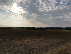 Was wäre der Boden ohne den Himmel? - Schützen am Gebirge, Burgenland- © Aleksandra Tyjan