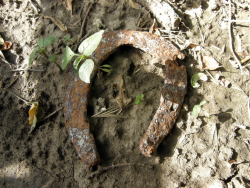 Hufeisen - Ein Hufeisen, das ich im Ackerboden gefunden habe, zeugt von der Zeit, als der Boden noch mit Hilfe von Pferden bearbeitet wurde. Das Foto wurde am 07.07.2018 in Velm-Götzendorf/NÖ von mir aufgenommen.- © Walter Füssl