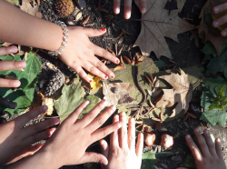 Schätze des Waldbodens - Ich bin Lehrerin und unterrichte zur Zeit eine 1. Klasse Volksschule. Die Kinder stellten bei unserem letzten Ausflug fest, dass man viele Schätze auf dem Waldboden finden kann. Besonders der Regenwurm hatte es ihnen angetan.- © Anita Bernt
