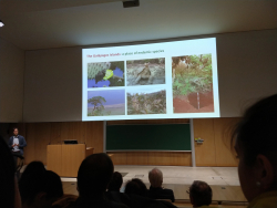 Bodenkinotag 2019 - Präsentation- © Friesl-Hahnl